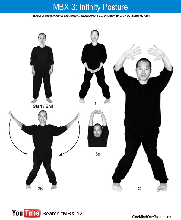 mbx-3 chart origx600