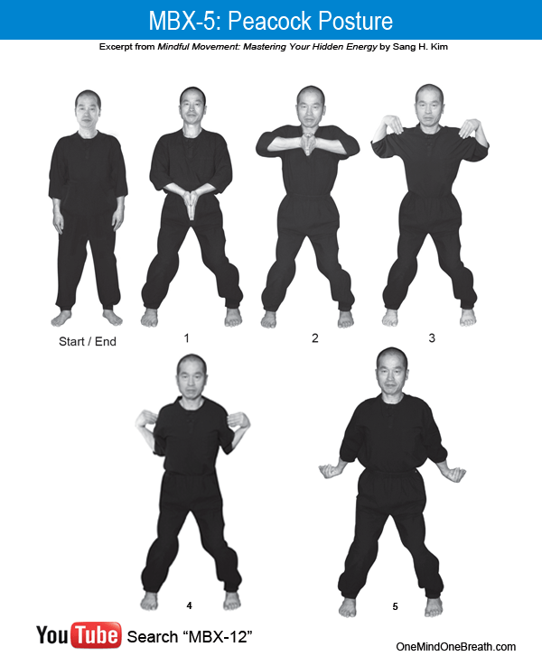 MBX 5: Peacock Posture Mindful Movement by Sang H. Kim