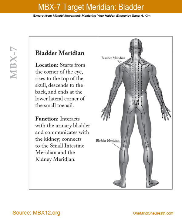 MBX 7 Bladder Meridian