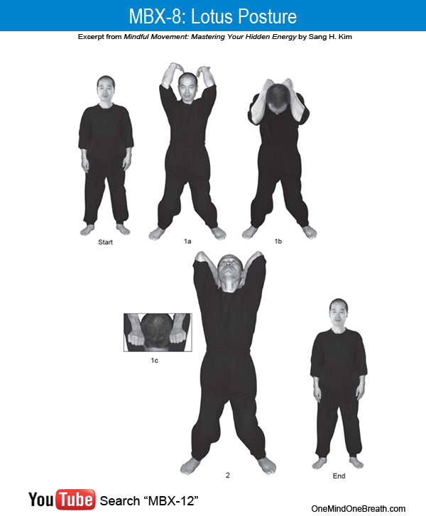 MBX 8: Lotus Posture for Refreshing Relaxation