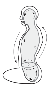 forward wheel for meridian breathing