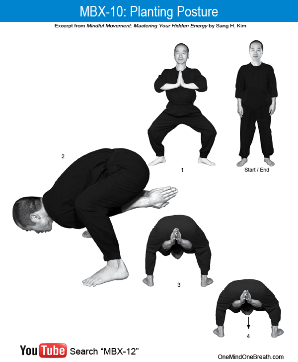 MBX 10: Planting Posture helps you improve strength and inner power.
