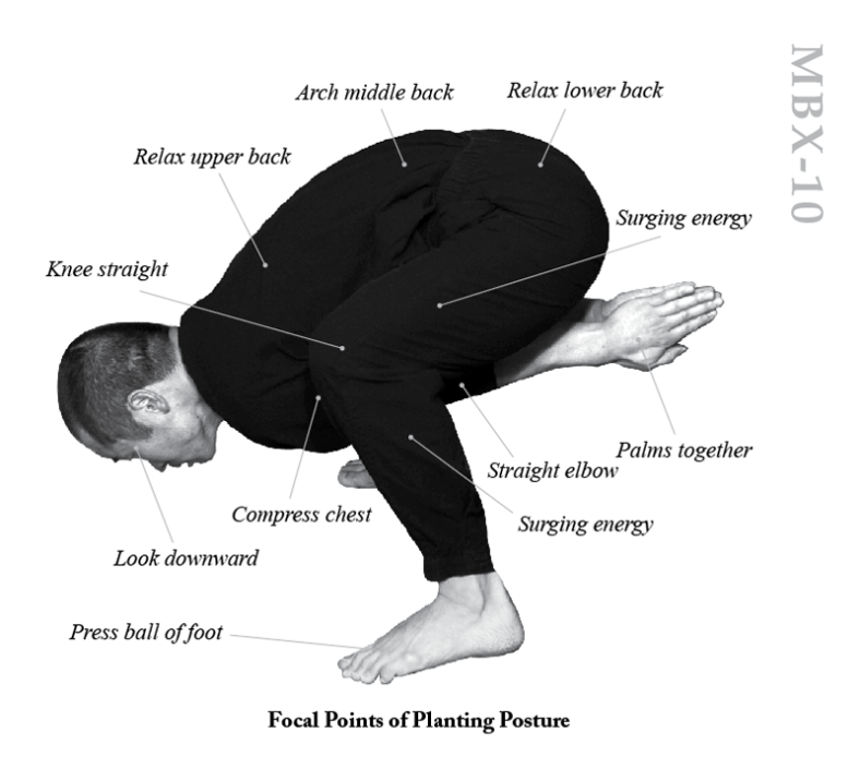MBX 10_Tripple Warmer Focal Point
